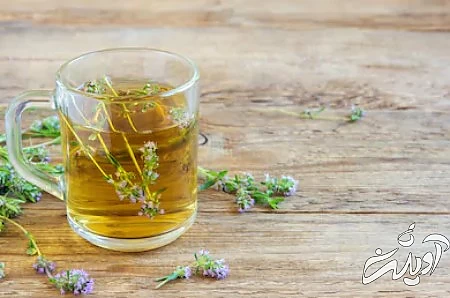 خواص گیاه کاکوتی 